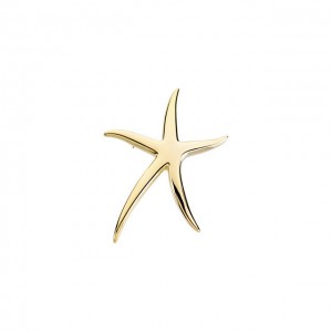 Whimsical Starfish Brooch
